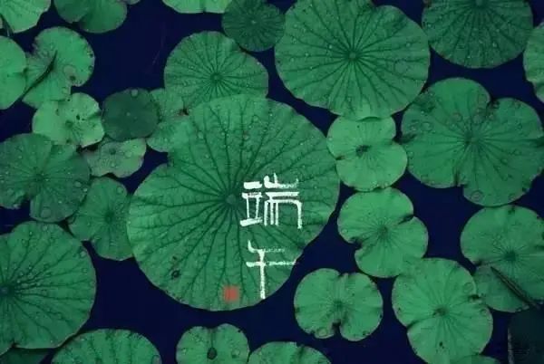 品味端午 傳承文明|滄州海固預(yù)祝您端午安康！