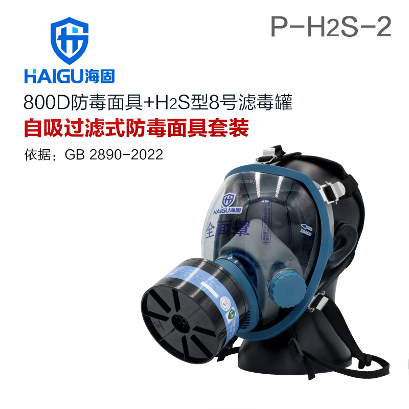 海固800D全面罩+P-H2S-2濾毒罐 硫化氫氣體防護(hù)套裝